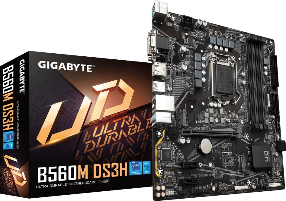 B560M DS3H (Rev. 1.0) - GIGABYTE Global