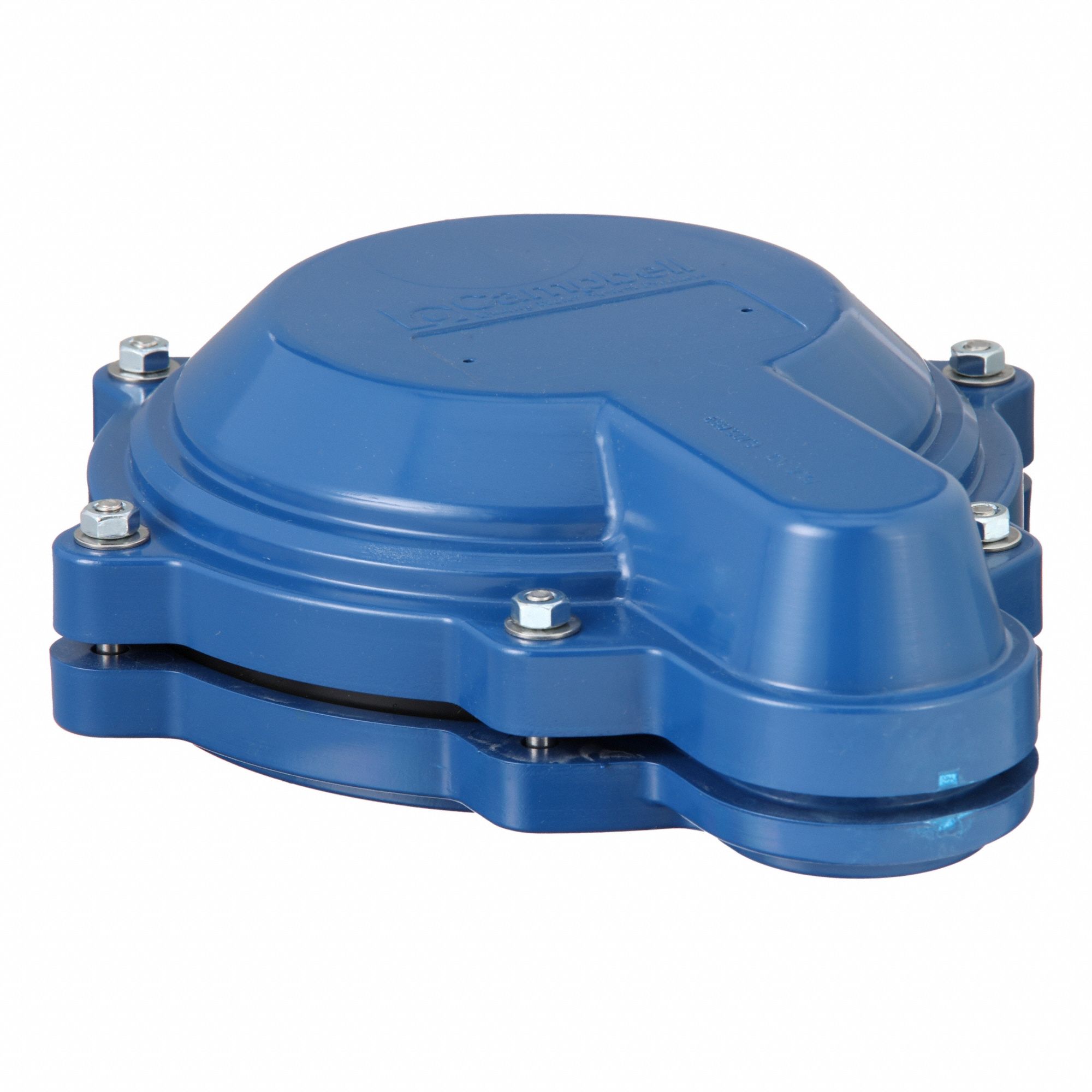 CAMPBELL, Plastic, 6 in Compatible Casing ID, Well Cap - 2NRE6