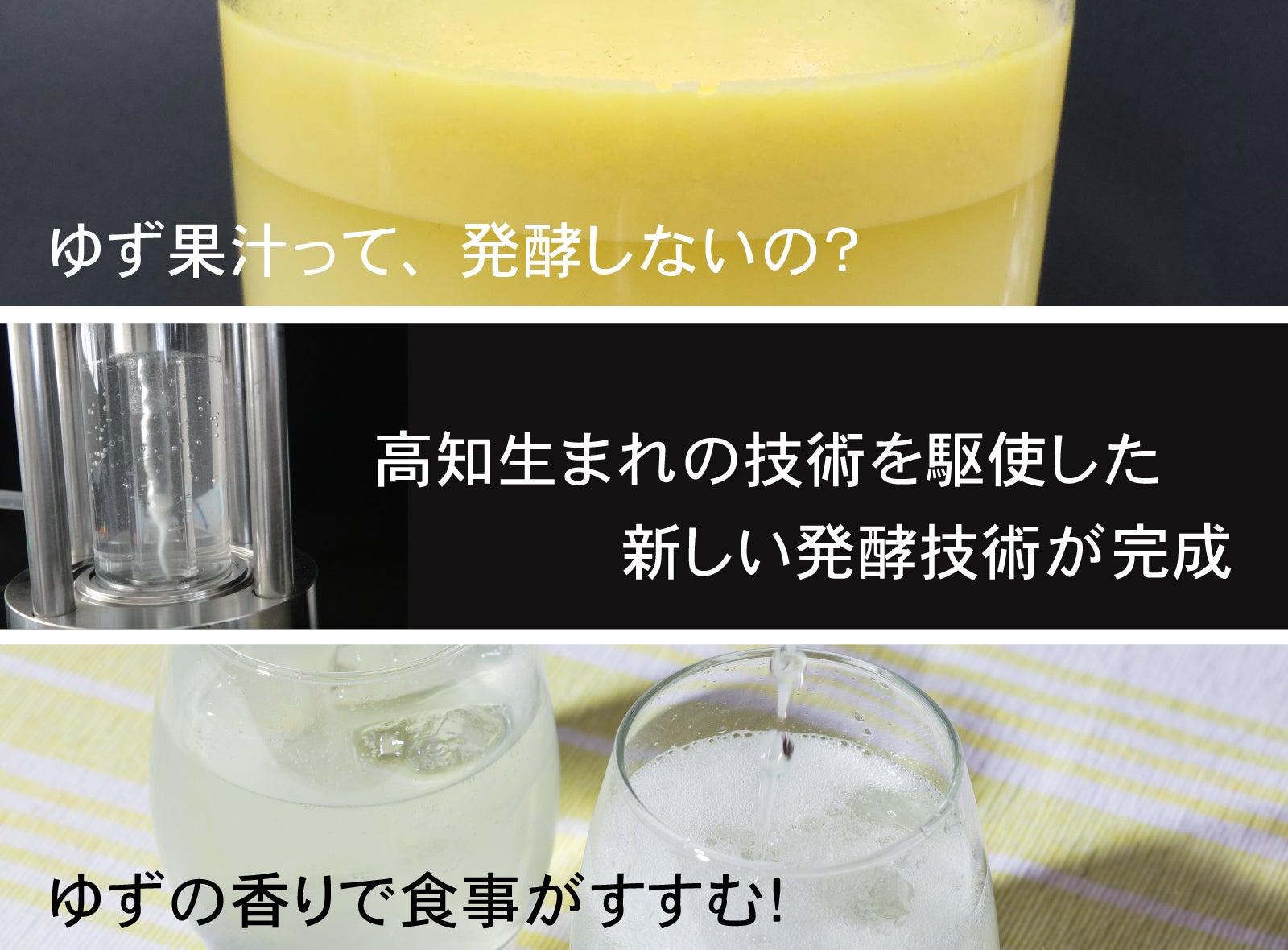 ゆず果汁発酵」の新技術！土佐鶴から新感覚の発酵ゆずハードセルツァー