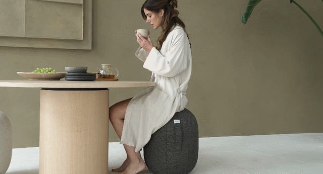 座るだけで叶う体幹】バランスボールの到達点。ドイツ発｜カプセル型