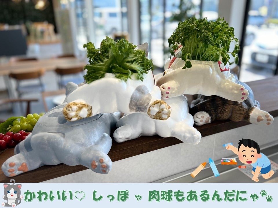 おえかきにゃんこの水耕栽培キット – Makuake STORE