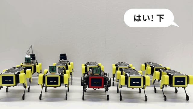 ChatGPT搭載！会話もできる四足歩行AIロボット犬『ミニぷぱ2