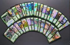 旧枠】自然文明 SR＆VR まとめ34枚セット デュエルマスターズ - メルカリ