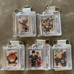 m16403788444_1.jpg?1749033915