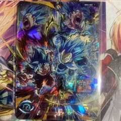 m17056556324_1.jpg?1715260467