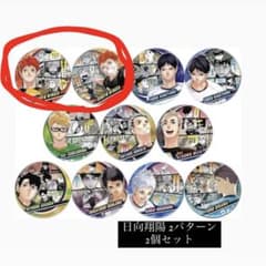 ハイキュー!! コレクション缶バッジMEMORIES 日向翔陽 2個セット