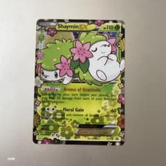 m17515838260_1.jpg?1726319741