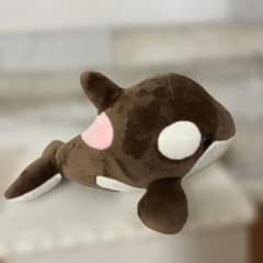 値下げ 須磨シーワールド シャチ オルカくじ 新色 ショコラデュオ