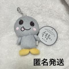 m18841602847_1.jpg?1726728129