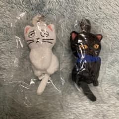 m19919200306_1.jpg?1713168446