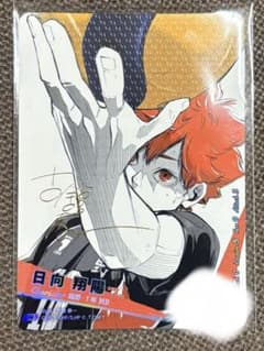 ハイキュー!! 日向翔陽 トレーディングカード バボカ サイン入り