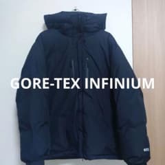 高機能】ティゴラ phenix GORE-TEX INFINIUM ダウン黒 - メルカリ