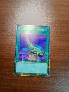 m11393671411_1.jpg?1760798825