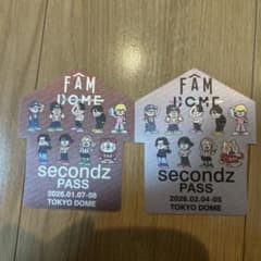 timelesz 会場限定 ツアーパス風 布ステッカー 東京ドーム - メルカリ