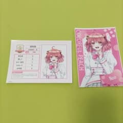 m24919210891_1.jpg?1763849669