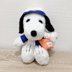 m25152317775_1.jpg?1758122959