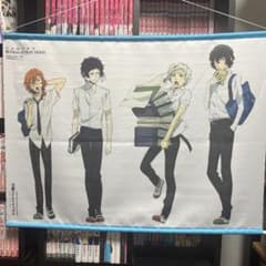 m25987451781_1.jpg?1725159580