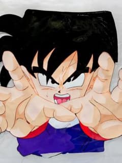 セル画】➃ ドラコンボールZ 孫悟飯 動画、撮影記録有り - メルカリ