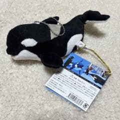 シャチ ぬいぐるみ 名古屋港水族館 Sサイズ - メルカリ