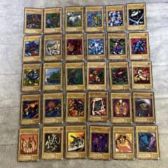 m28733851683_1.jpg?1711303087