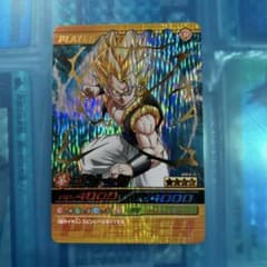 m28873936032_1.jpg?1750512302