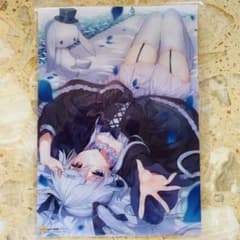 m29361380912_1.jpg?1719642554