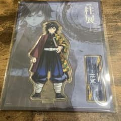 m22573373192_1.jpg?1753690605