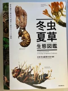 m22930715525_1.jpg?1721716165