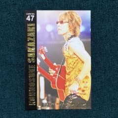 m23723834715_1.jpg?1719134983