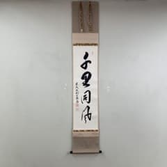 m35564455469_1.jpg?1737092114