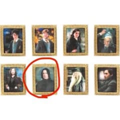 ハリーポッター スネイプ 肖像画マグネットコレクション - メルカリ