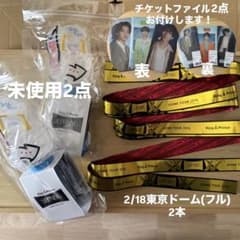 新品】キンプリ King & Prince ペンライト 銀テ チケットファイル