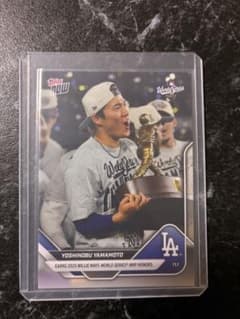 m38884594460_1.jpg?1764361631