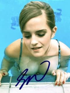 m39086449838_1.jpg?1759106433