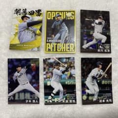 m30793074181_1.jpg?1755868106