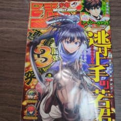 m31488286039_1.jpg?1710939974