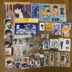 m31754789254_1.jpg?1714959967