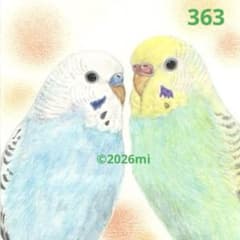 セキセイインコ イラスト363 『仲良し♪』手描き 原画 水彩色鉛筆