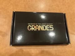 ボートレースGRANDES 555キャンペーン オールスター 競艇 - メルカリ