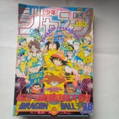 m45484132912_1.jpg?1707291450