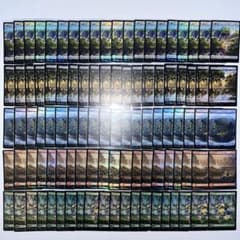 MTG FF チョコボトラックFoil 基本土地 日本語版 100枚 - メルカリ