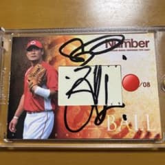 m46487917795_1.jpg?1736086855