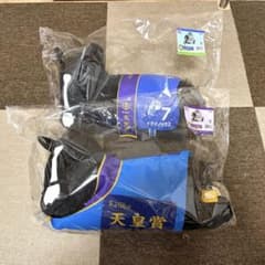 タイトーくじHORSE HEROES A賞 LH賞 イクイノックス 2点セット - メルカリ