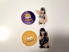 女子プロレス マリーゴールド アクリルスタンド 瀬戸レア アクスタ 3