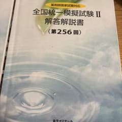 薬ゼミ模試 256回全国統一模擬試験 II 解答解説書 - メルカリ