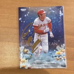 m42414940102_1.jpg?1767869878