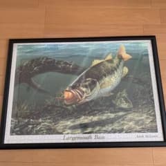 m42580515635_1.jpg?1682596625