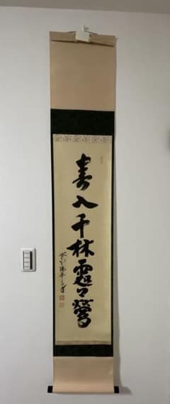 掛け軸 大徳寺 瑞峯院 前田昌道 自筆一行書 紙本 桐共箱 美品 - メルカリ