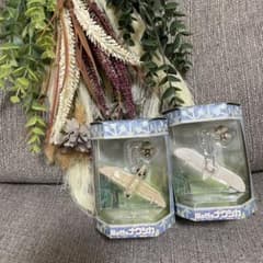 m56158960793_1.jpg?1749623389