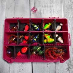 ヒデゴン様※JACKALL TG ビンビンスイッチ まとめ売り 紅牙ケース付き